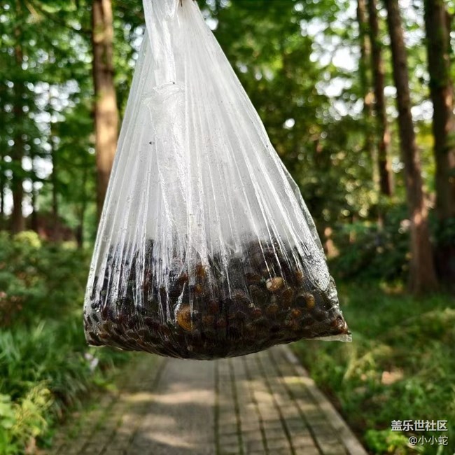 【我的旅行日記】西湖一日游