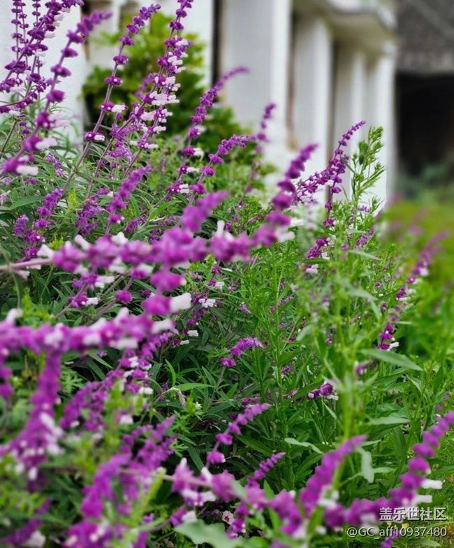 【記錄每一幀】路過拍