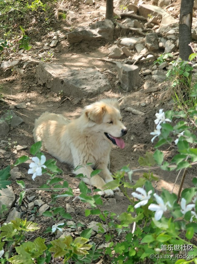 【捕捉初夏之美】初夏山野