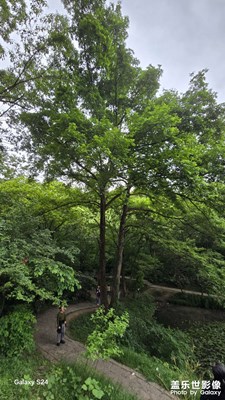 【春深夏淺】一年中最熱烈的季節(jié)