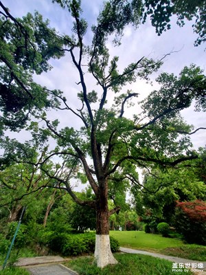【春深夏淺】+游走公園