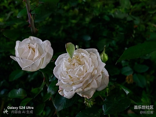 小白也能學(xué)會三星S24 Ultra修圖