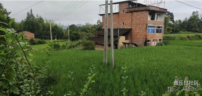 【初夏的顏色】山村