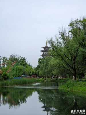 【春深夏淺】洋湖濕地公園