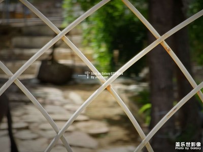 【春深夏淺】+周末愉快