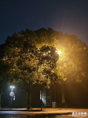【三星手機的夜景】＋雨后的夜