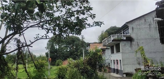 【初夏的顏色】山村