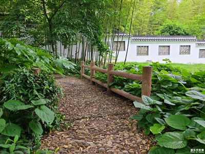 【春深夏淺】迎接夏天