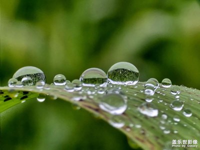 【春深夏淺】細(xì)雨綿綿