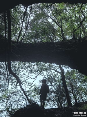 【春深夏淺】+穿越叢林