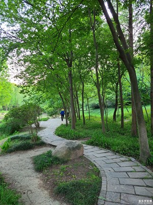 【春深夏淺】美麗林間