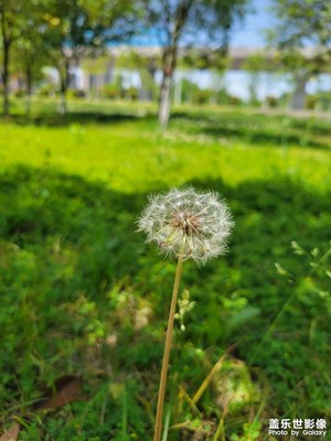 【春深夏淺】+快樂出行