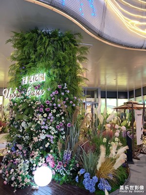 【春深夏淺】+快樂出行蘭州