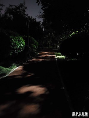 【春深夏淺】夜跑隨拍
