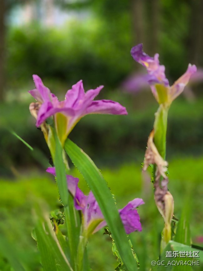 #五月的休閑時光——