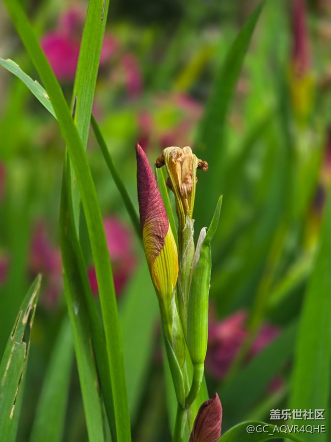 #五月的休閑時光——