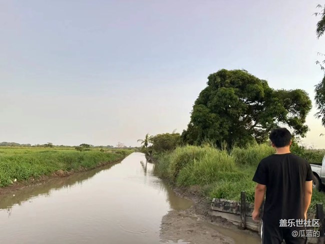 【初夏的顏色】鉤蟹
