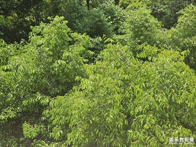 【春深夏淺】+春天隨手拍