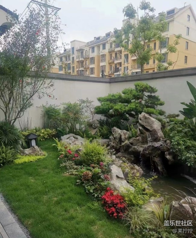 【初夏的顏色】墻角美景