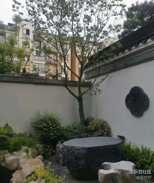 【初夏的顏色】墻角美景