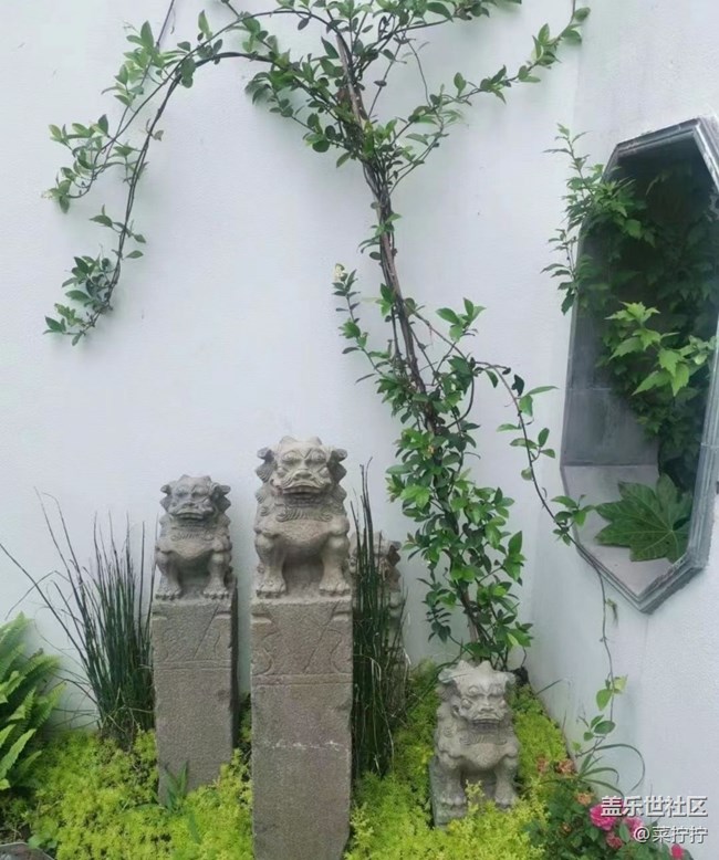 【初夏的顏色】墻角美景