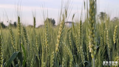 [悠閑時光]+散步隨拍