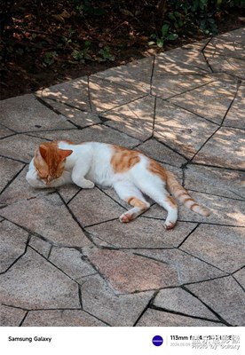 【悠閑時光】等