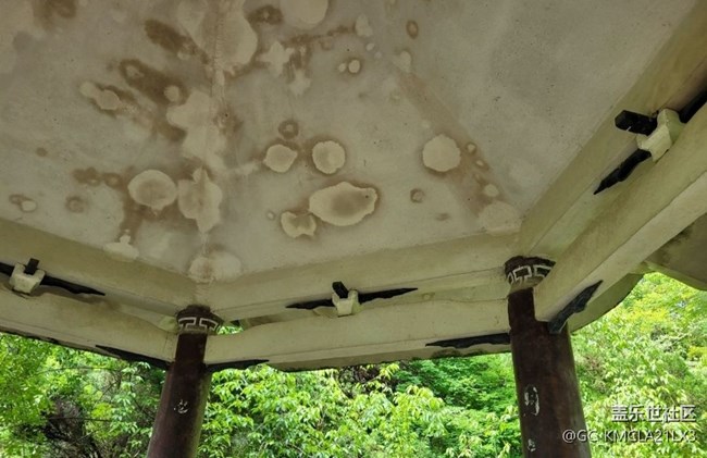 【初夏的顏色】綠色亭子