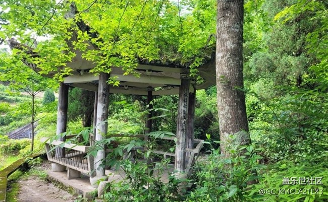 【初夏的顏色】綠色亭子