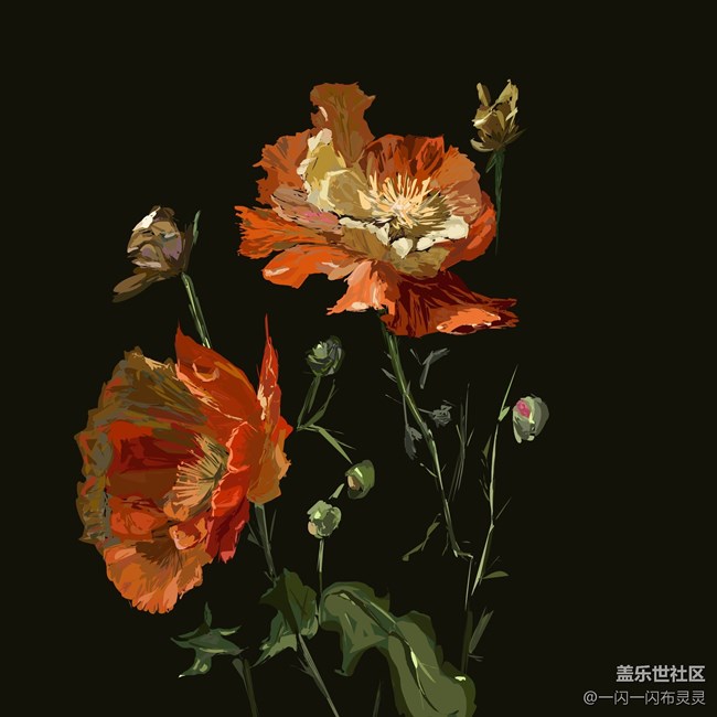 【S Pen繪畫】虞美人