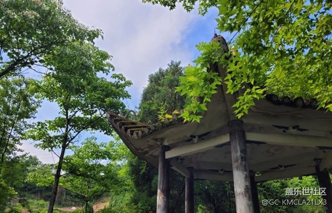 【初夏的顏色】綠色亭子