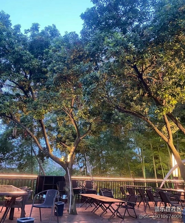 【捕捉初夏之美】快樂(lè)一天