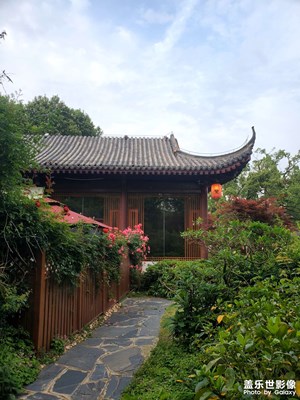 【悠閑時(shí)光】+?公園美景