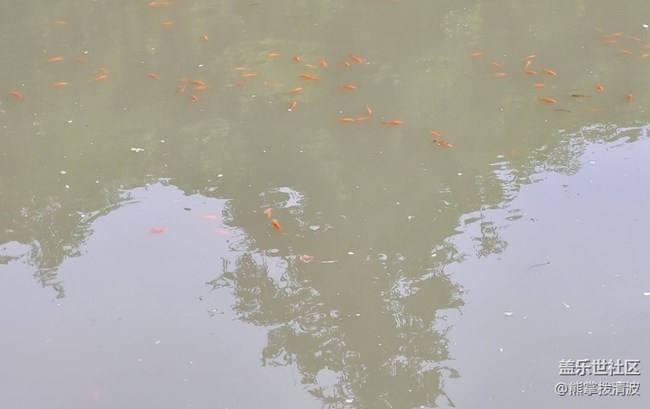 【輕夏趣生活】小魚兒