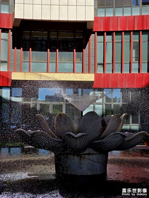 【悠閑時(shí)光】夏日隨拍