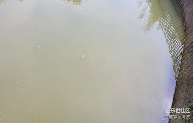 【輕夏趣生活】小魚兒