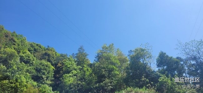 【記錄每一幀】天氣不錯(cuò)