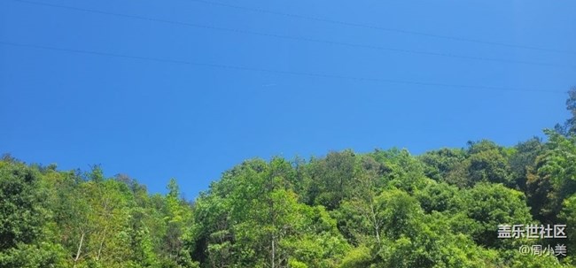 【記錄每一幀】天氣不錯(cuò)