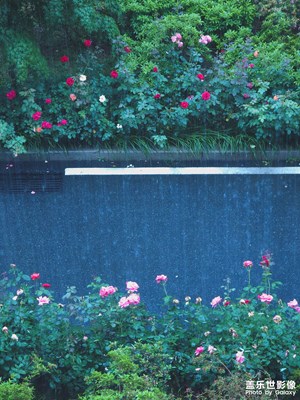 【黎叔叔】主題：雨（1P）