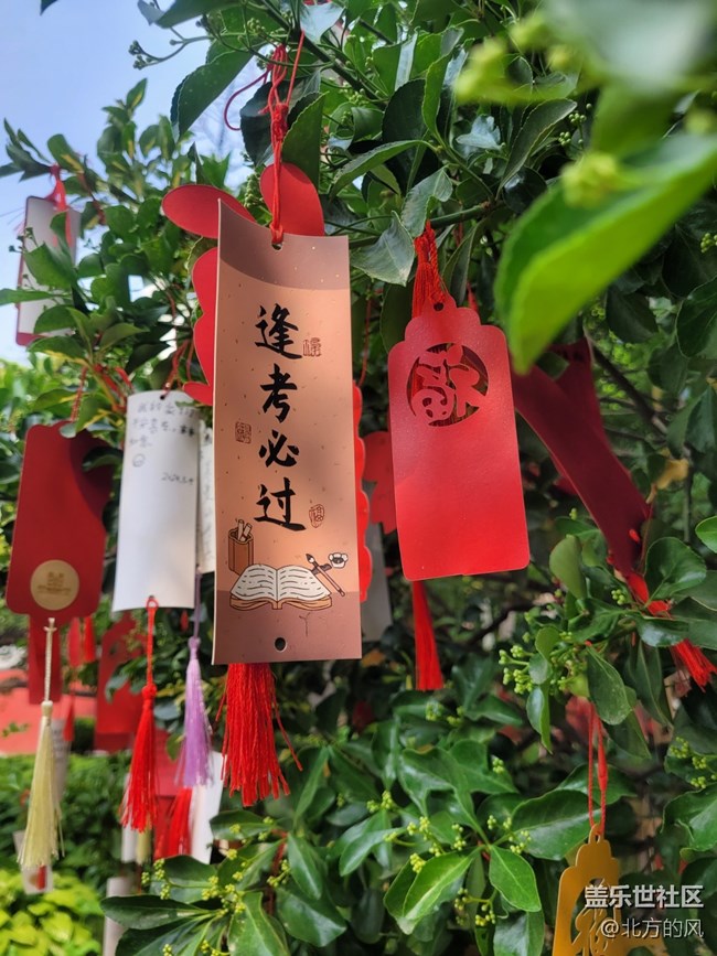 【西什庫教堂隨拍】+信仰是內(nèi)心秩序的重建