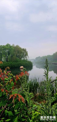 【悠閑時光】+ 晨跑隨拍