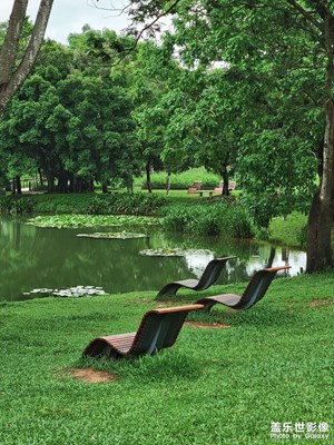 【悠閑時(shí)光】+ 20分鐘公園效應(yīng)