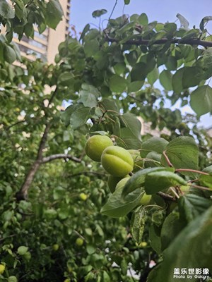 【悠閑時光】吃飯散步隨拍