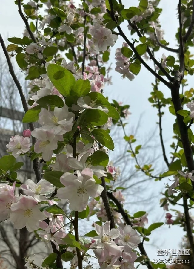 【瞬彩五月】碎片，隨拍