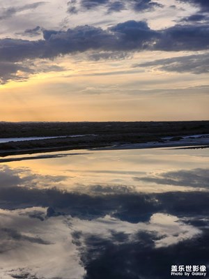 【悠閑時光】濕地掠影