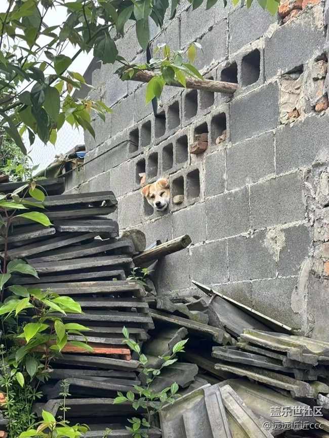 【瞬彩五月】碎片，隨拍