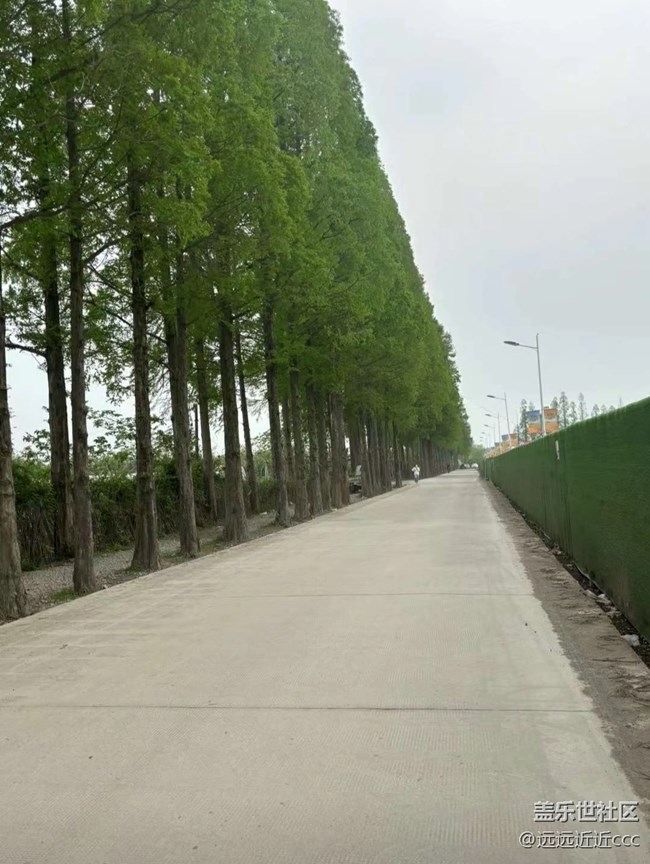 【瞬彩五月】碎片，隨拍