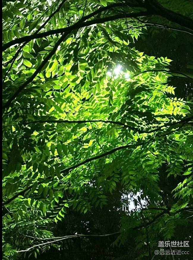 【瞬彩五月】碎片，隨拍