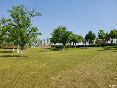 【悠閑時光】晴朗的夏天