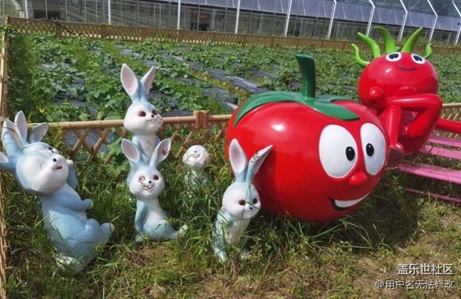 【初夏的顏色】田間美景